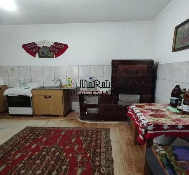 Casa P+M cu teren generos si loturi suplimentare in Baia de Cris - 16