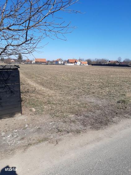 Vand teren intravilan, construibil, utilitati, Lunca Calnicului - 8