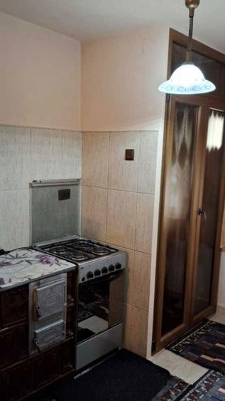 Apartament de vanzare 2 camere parter Faget in centrul orasului - 7