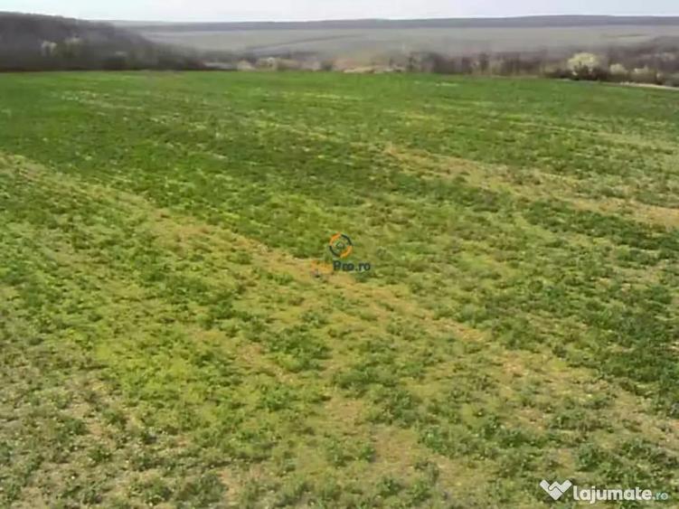 Proprietar Teren langa Domeniile Herneacova - 3