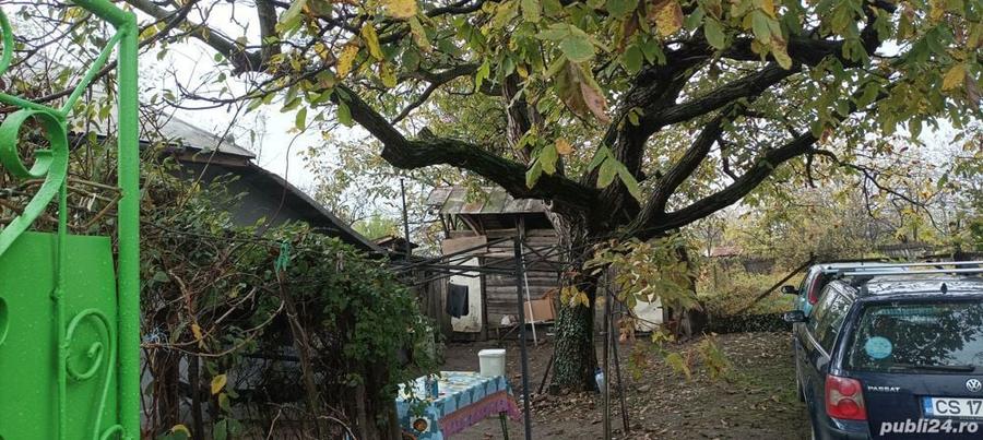 vand casa cu curte si teren in Padina Mica, Mehedinti - 8