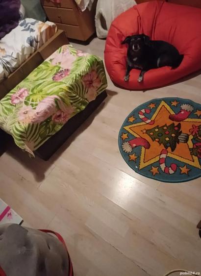 Vand casa 2 camere zona Petre Ispirescu - 2