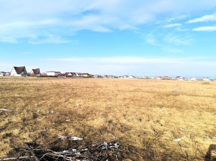 Vanzare teren intravilan Magurele / 2.500 mp / D: 17.55 m - 5