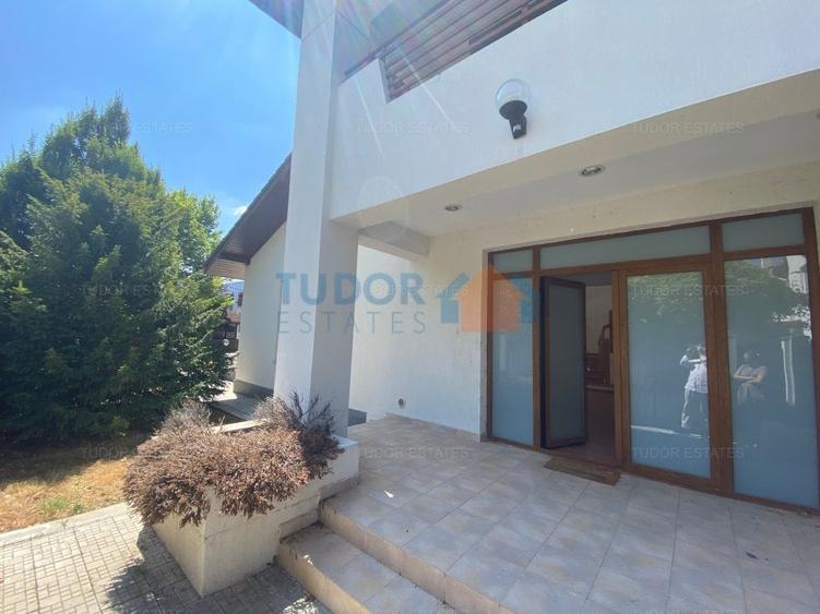 Vila cu piscina Iancu Nicolae - 23