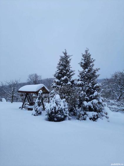 Inchiriez cabana - 6