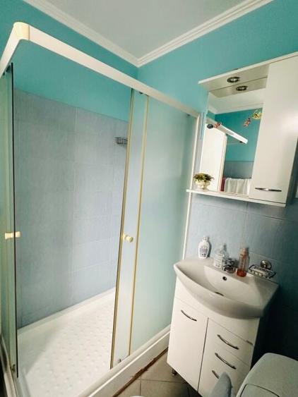 Dacia - Toamnei 2 camere in vila P/D+P+2 anvelopata - 4