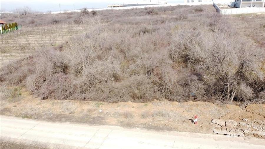 Teren de vanzare langa Curtea Regala - toate utilitatile prezente - 4