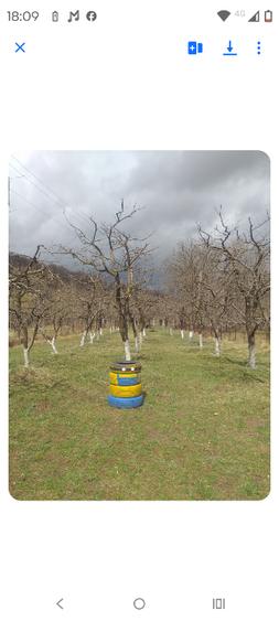 Casa cu mansardă și livada - 4