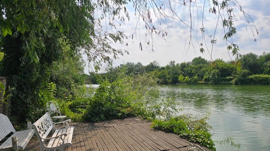 REA1024819 Apartament 2 camere Sisesti - 9