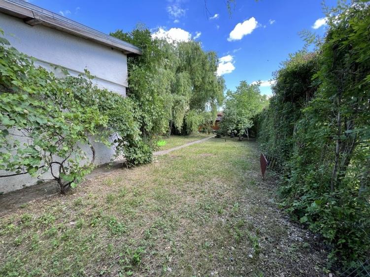 Casa-langa studiourile Buftea, 2 constructii, curte cu pomi, 2300mp, langa lac - 4