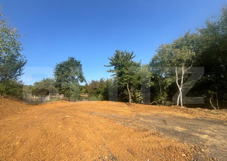 Teren de vanzare in Viisoara - 1