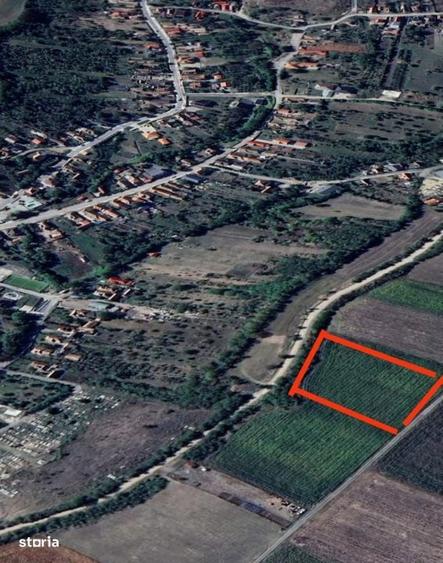 COMISION 0%!!! Teren intravilan, 5800 mp, in Sandulesti - 3