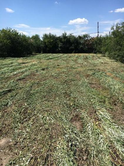 Vand teren intravilan in Tulca - 2