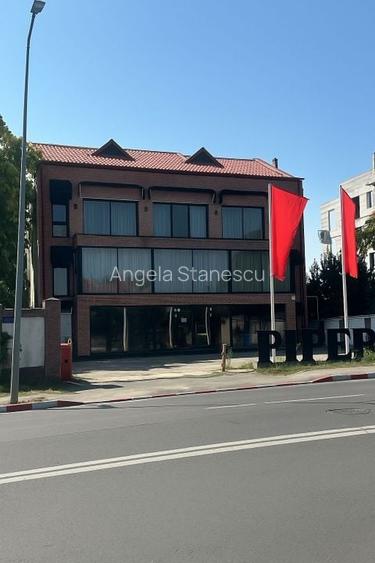 Vila cu vizibilitate maximă, pregătită să susțină afaceri de succes