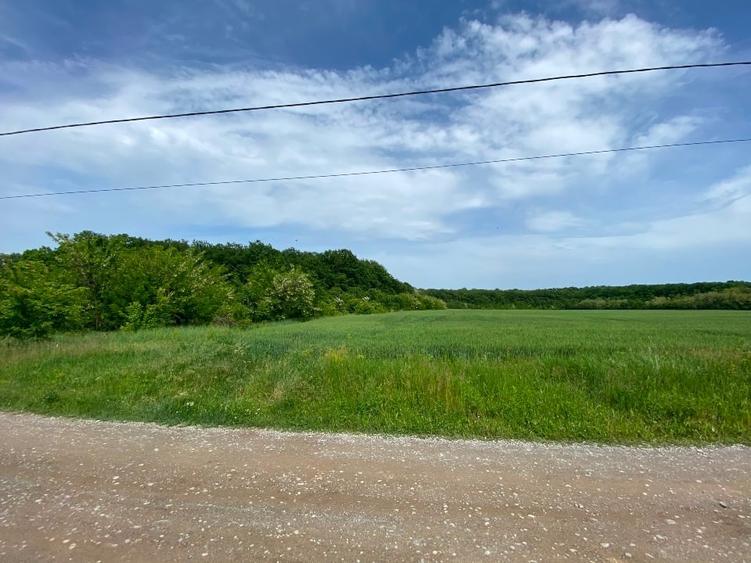 TereCiofliceni 5690 mp.Deschidere de 50m. - 7