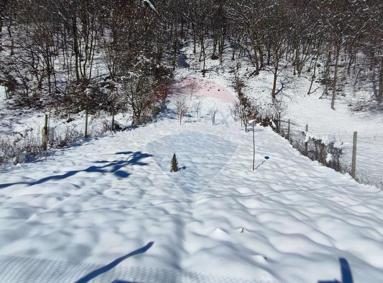 Teren intravilan în Tilișca, zonă montană superba! - 6