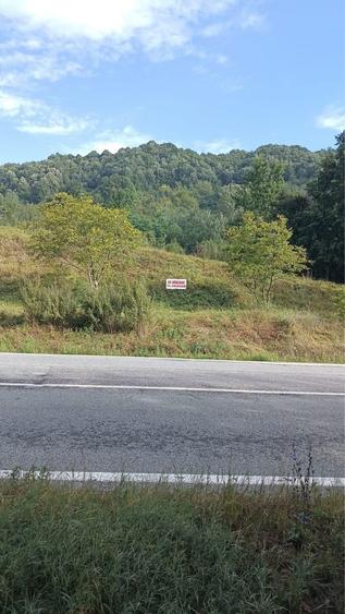 Teren de vanzare Barlogu valcea - 4