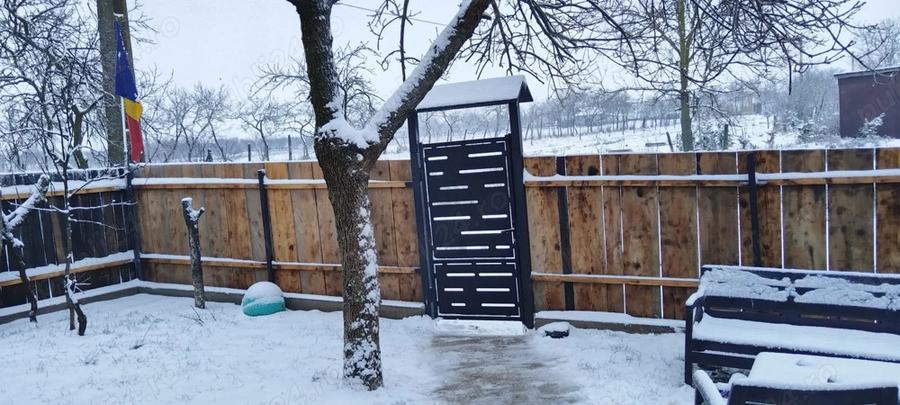 vand casa la 18km de Arad - 1