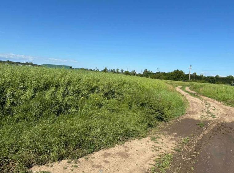 Tern intravilan de vanzare in Izvorani - 4