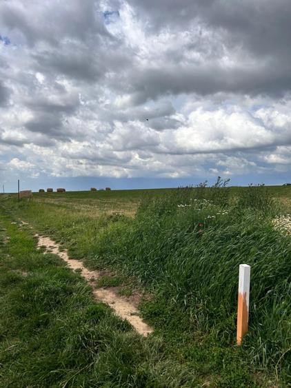 Teren intravilan de vanzare la intrarea in Cordau, Bihor - 4