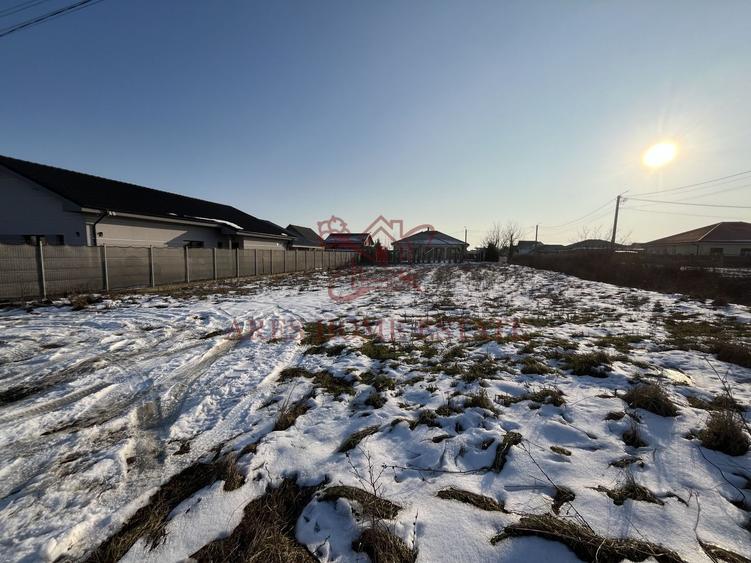 Teren intravilan cu toate utilitățile și front 20 m – Moșnița Veche - 2