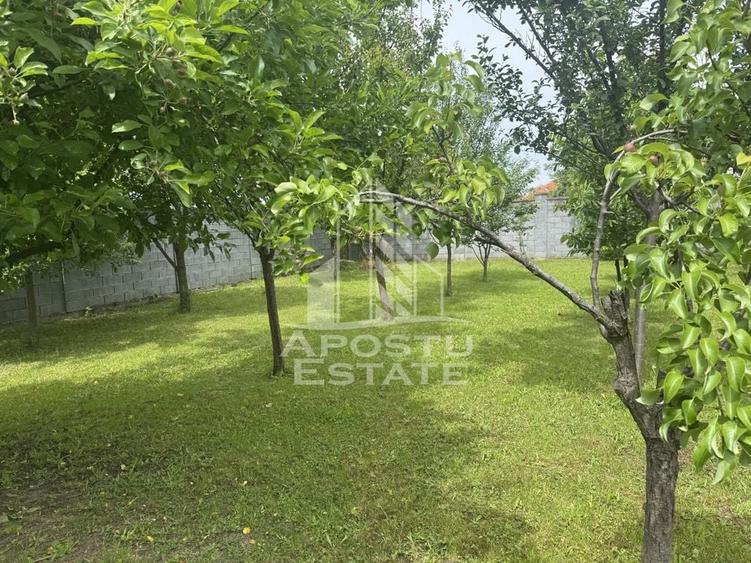 Casă unifamilială &icirc;n Ghiroda cu teren generos 1752 mp - 8