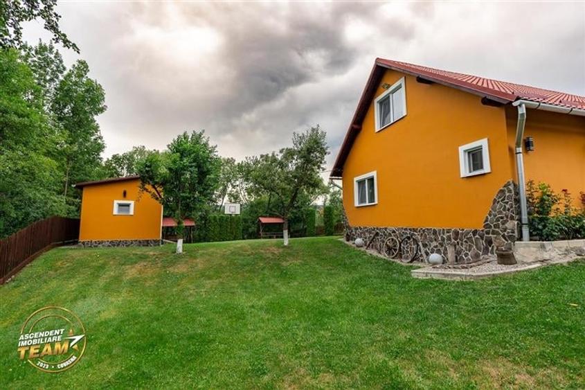 FILM&3D! Doua case cu:piscina,foisor,arbori decorativi,1.700mp teren,Lutoasa,Cov - 18