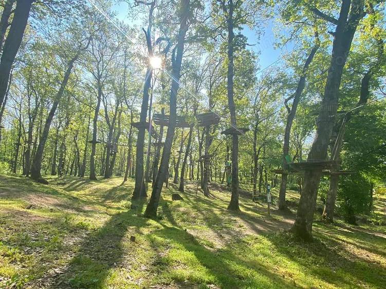 Domeniul Herneacova - 12