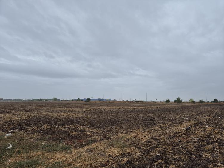 Metro Ploiesti - Paulesti, vanzare teren 39.144mp. - 12