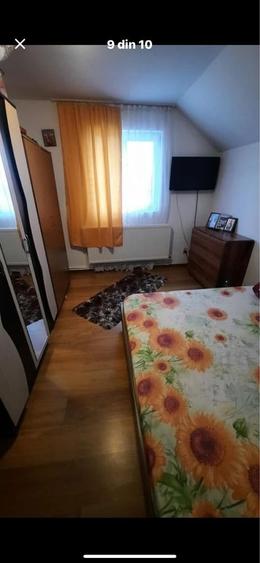 Casa de vinzare smeura - 6