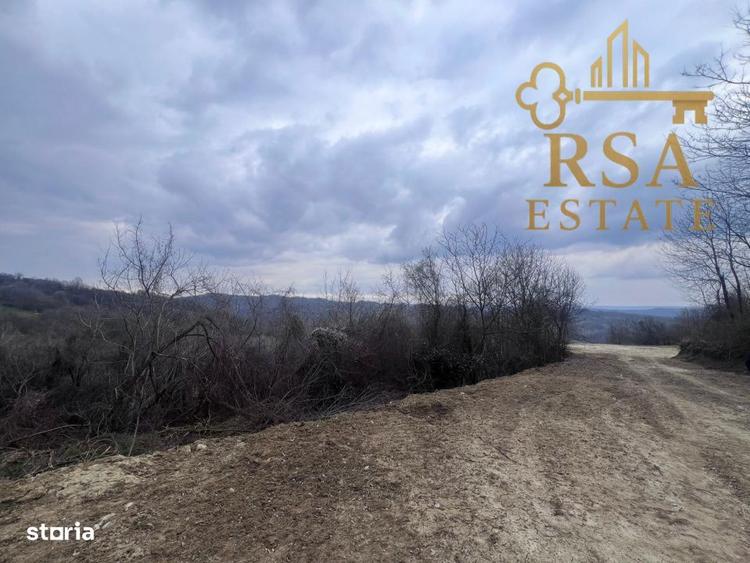 Teren 2500 mp Feteni-Valcea, priveliste spectaculoasa, zona linistita - 3