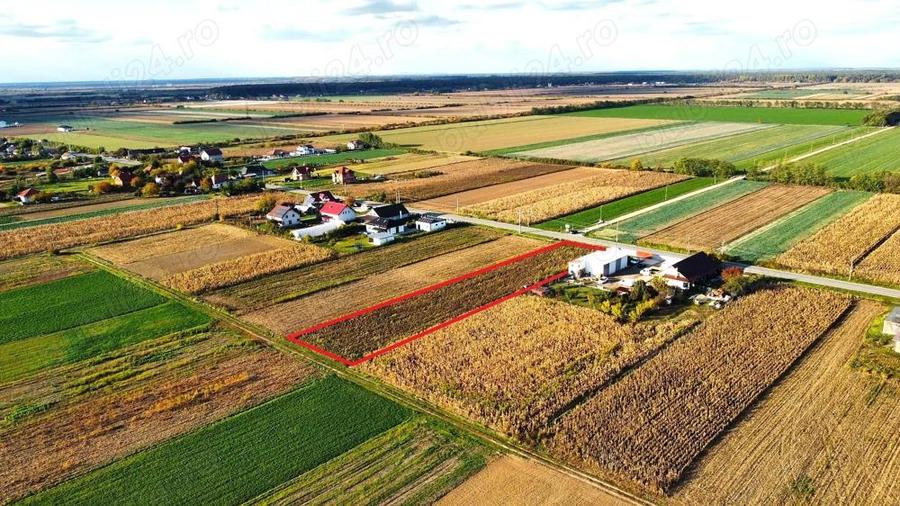 Teren intravilan de vanzare 3000 mp, Botiz, str. Sirul Mare, la doar 7 km de centrul Satu Mare - 3