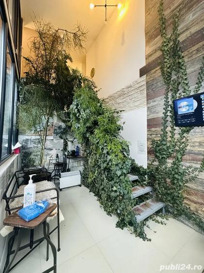 Vila in zona centrala, Pisica Alba - 5