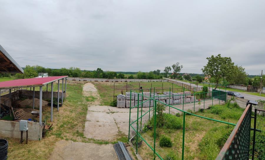 Casă + teren 4200 mp, vie, curent, fosa, anexă – Crevedia Mare, Giurgiu - 12