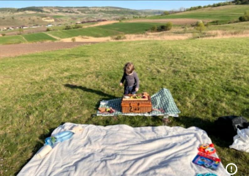 Teren extravilan intabulat Baciu - 4