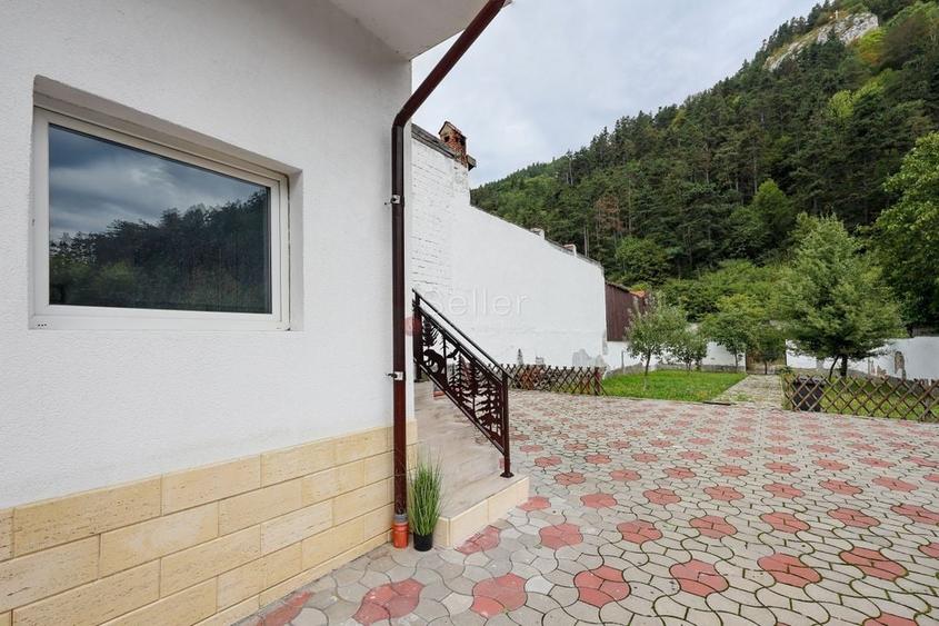 Proximitate imediata fata de Castelul Bran - 36