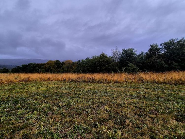 Comision 0%, teren extravilan 12497 mp Sinca Noua - 3