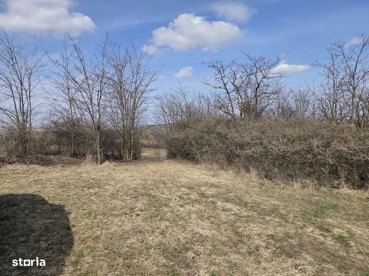 Teren de vanzare Pata Cluj - 7