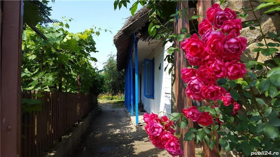 Pensiune agro-turistica in paradisul Deltei Dunarii - 7