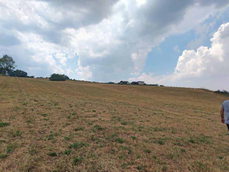 2 Parcele de teren extravilan zona Bradet Pret 3000eur/ar neg usor - 2