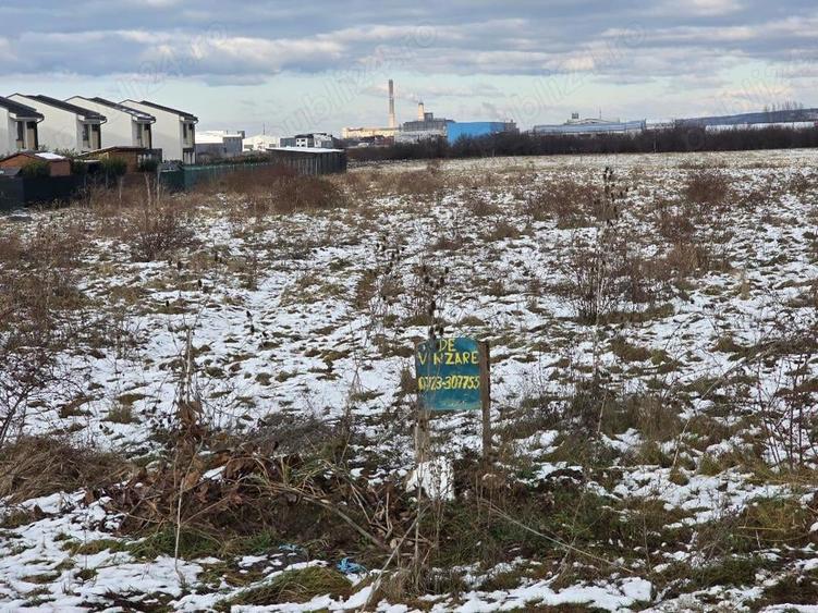 Vand 1HA teren intrav ptr case zona Balcescu langa cartierul RIVIERA, utilitati, sosea - 10