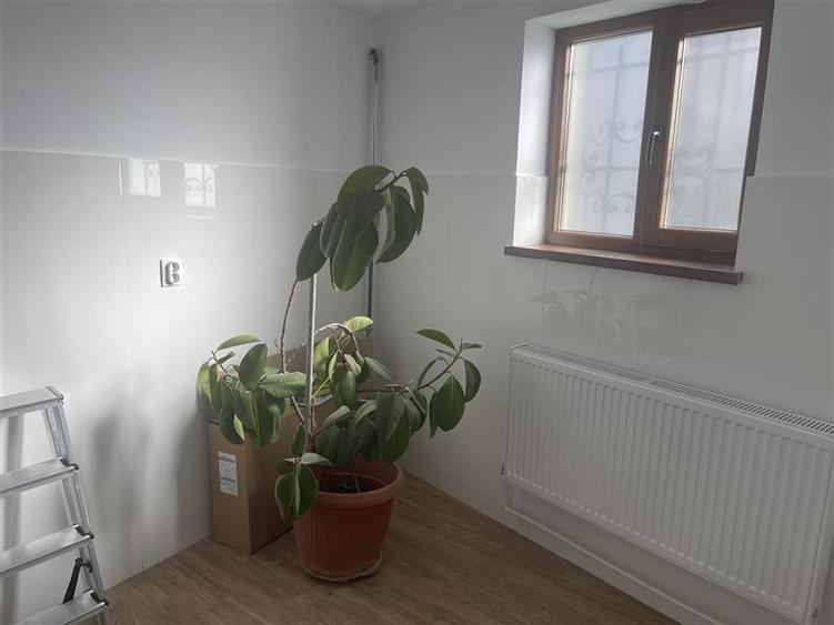 Dacia Polona casa singur curte D+Parter inalt 4 camere ideal birou - 5