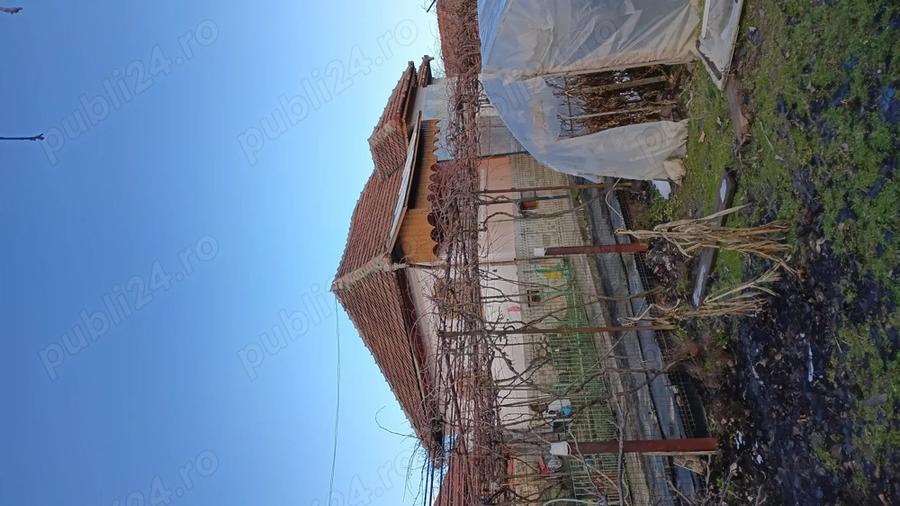 Casa de vanzare cu teren, in centru Rosia de Amaradia, Gorj - 5
