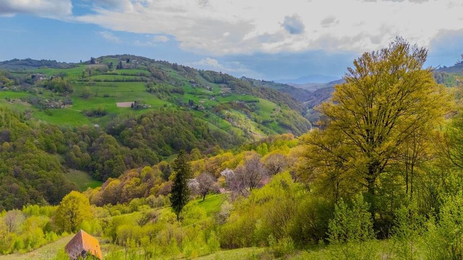 Teren 11,342 mp Poiana Marului /Extravilan/Oportunitate investitie - 11