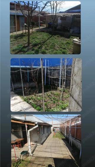 Vand Casa in Bucure?ti - Zona Giurgiului - 5