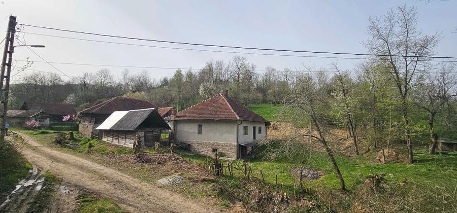 Vand casa cu gradina + padure + teren arabil - 8