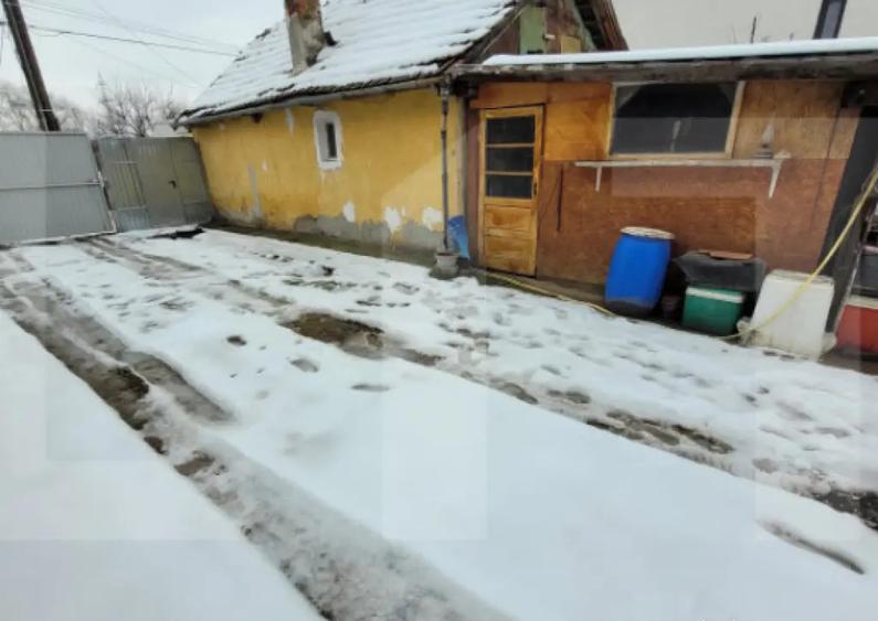 Casa de vanzare, 40 mp, zona Plopi - 6