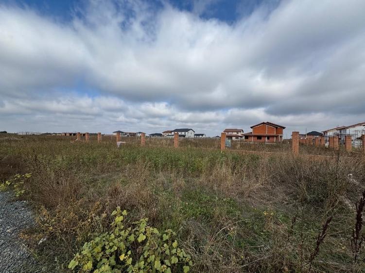 Teren de vanzare, Sacalaz - 5