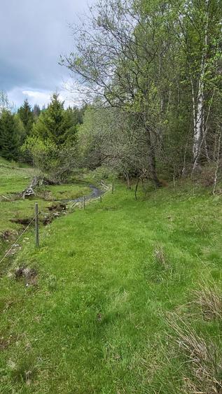 Teren intravilan de cabana la munte - 1