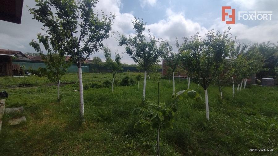 Casa individuala 3 camere, Sacalaz- Cabana cu Semineu - 13